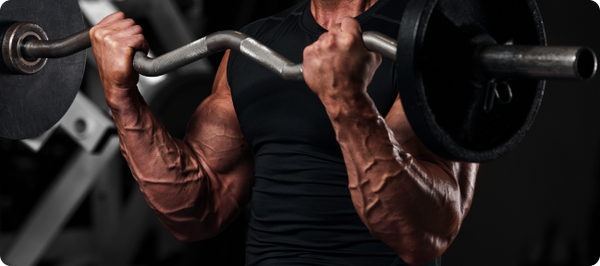 BSN | Award-Winning Sports Nutrition